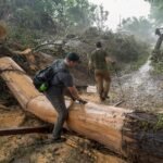 De las inundaciones de Texas a la inacción de Trump: tiempo de Corte a la emergencia climática