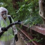 Un brote de chikungunya infecta a más de 7.000 personas en China y dispara las alarmas en el mundo