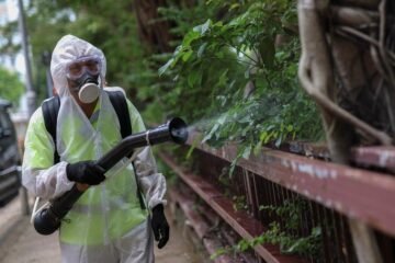 Un brote de chikungunya infecta a más de 7.000 personas en China y dispara las alarmas en el mundo