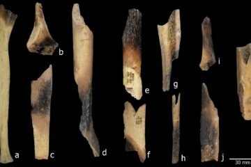 Desollados, descuartizados y comidos por las tribus rivales: hallados restos de canibalismo en Atapuerca hace 5.500 años