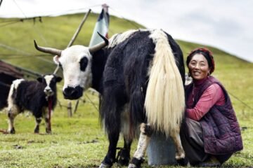 China impondrá aranceles adicionales del 55% al vacuno importado desde el 1 de enero