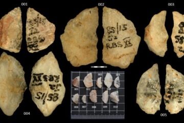 Veneno en flechas de hace 60.000 años: hallada la prueba más antigua de su uso en armas humanas