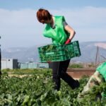 La innovación española falla en la base: el sector agroindustrial registra un 67% menos de patentes que Europa