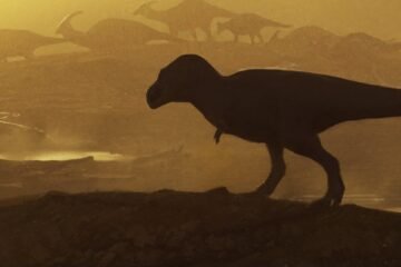 Descubierto un tiranosaurio descomunal que reubica el origen de estos depredadores: “Fue el más grande de su época”