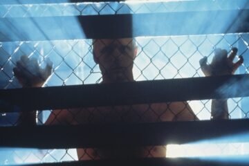 Parque Jurásico 2.0: innovar no basta, hay que decidir hacia dónde