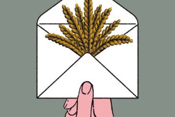 Cosecha electoral en Castilla y León