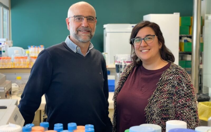 Las lecciones que dejan los 10 ‘curados’ del VIH tras un trasplante de células madre: del icónico caso de Berlín al ‘paciente de Oslo’