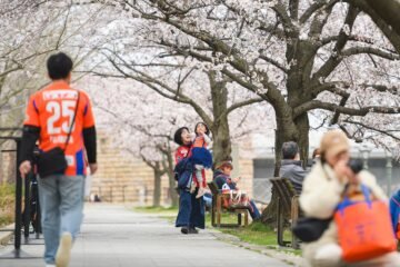 Japón aprueba la custodia compartida: entre la reparación histórica y el miedo de las madres
