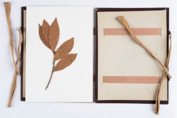 La corona mortuoria de Fortuny yacía entre papeles en el archivo del MNAC