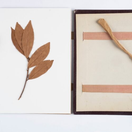 La corona mortuoria de Fortuny yacía entre papeles en el archivo del MNAC