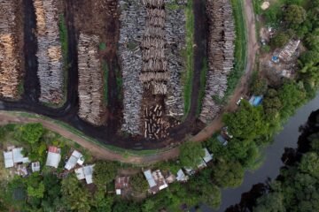 Bruselas propone retirar el cuero de la lista de productos que regulará su pionera ley de deforestación
