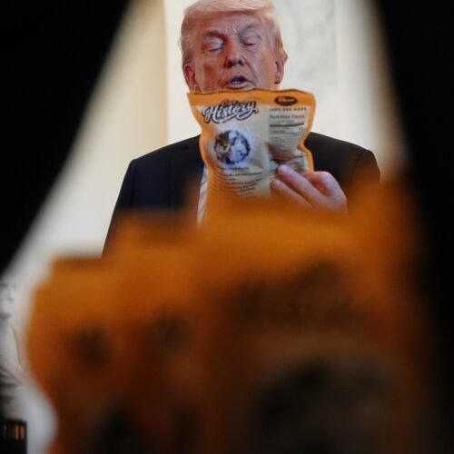 TikTok ayudó a Trump a ganar las elecciones de 2024, cuando la red se jugaba su futuro en EE UU