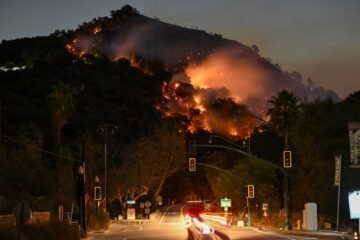 Fuego para prevenir los incendios: funciona y es rentable