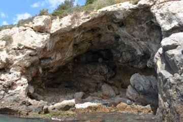 Los neandertales consumían moluscos hace ya 115.000 años, sobre todo en los meses fríos