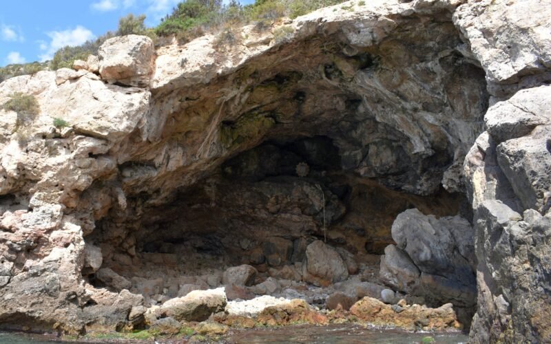 Los neandertales consumían moluscos hace ya 115.000 años, sobre todo en los meses fríos