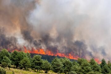 El silencio habita Muriel tras la evacuación por el fuego
