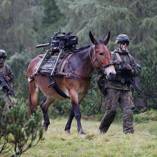 La OTAN se prepara para un giro prorruso en el este de Alemania por el auge de la AfD