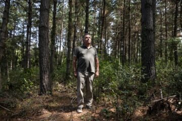 La falta de incentivos para cuidar los montes y prevenir los incendios en España: “Es más rentable no hacer nada”