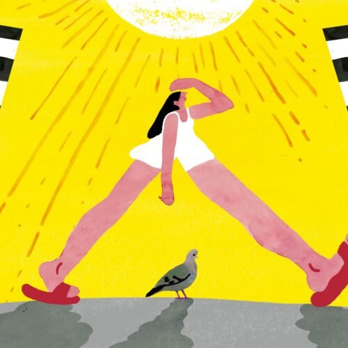 Vivir el verano como las palomas: sin pedir permiso y sin pagar