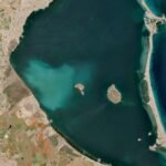 La mancha blanca en el Mar Menor arrasa siete kilómetros de vegetación y diezma las poblaciones de peces: de 21 especies a solo tres