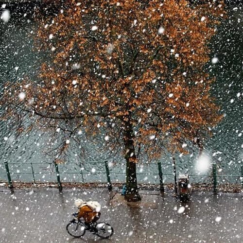 ¿Por qué muchos alemanes han dejado las vacaciones para el invierno?