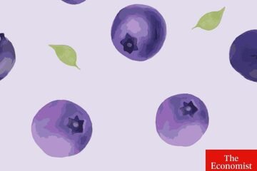 Olvídese del oro y del cobre: el último auge de África se centra en los arándanos y las naranjas